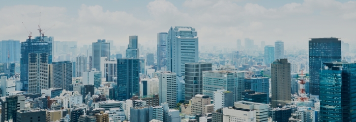 会社概要・沿革